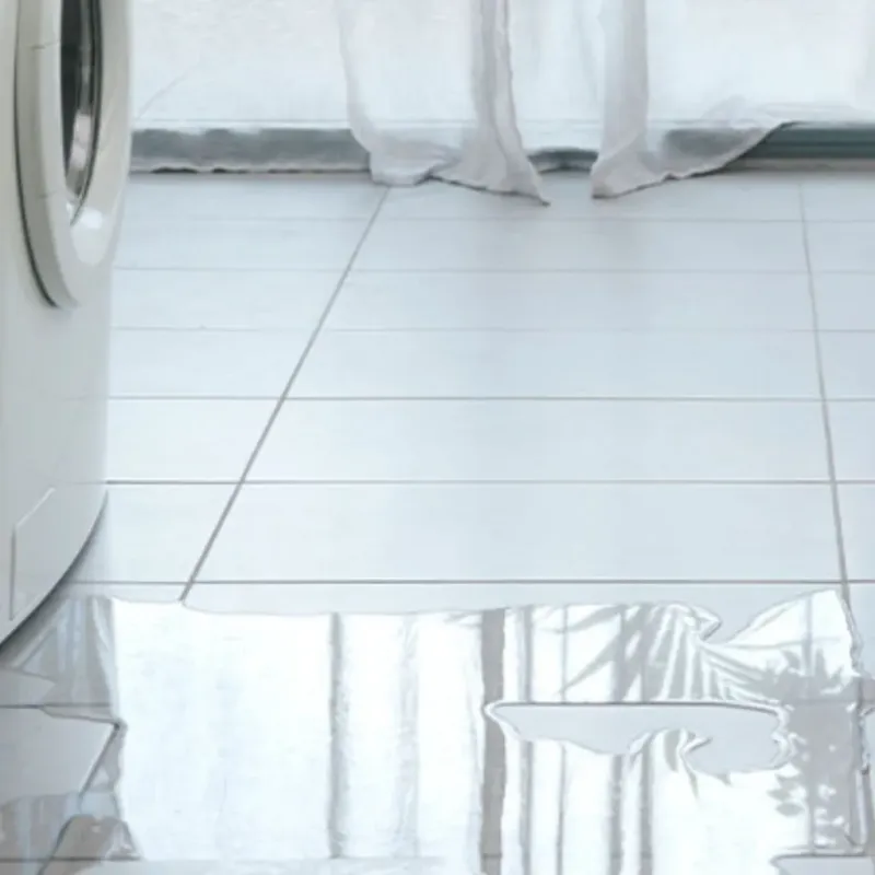 Appliance Leak Cleanup in Roseville, CA
