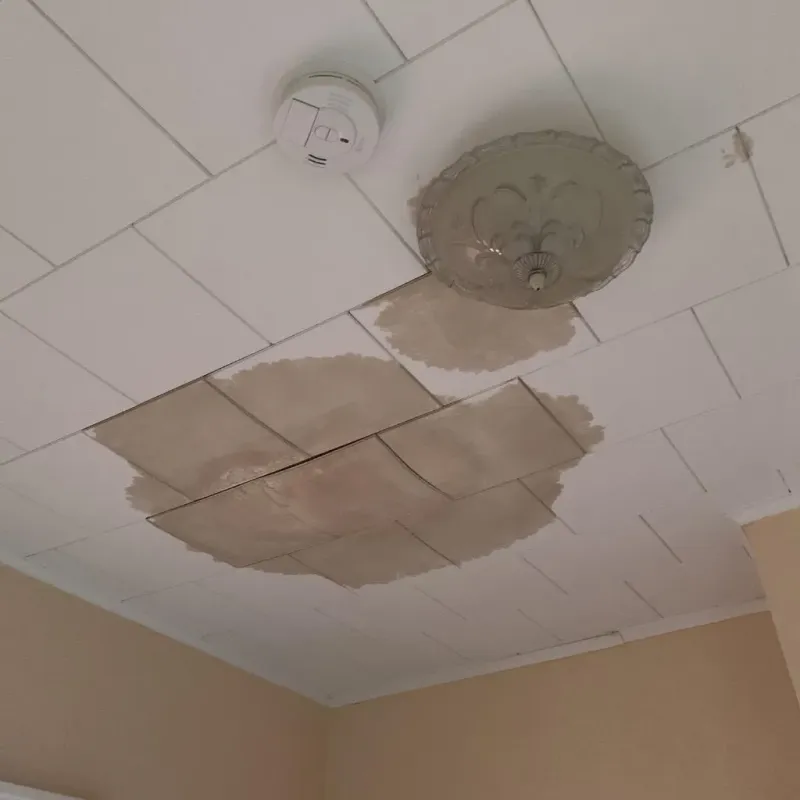 Ceiling Water Damage Repair in Roseville, CA